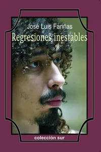 Portada de Regresiones inestables