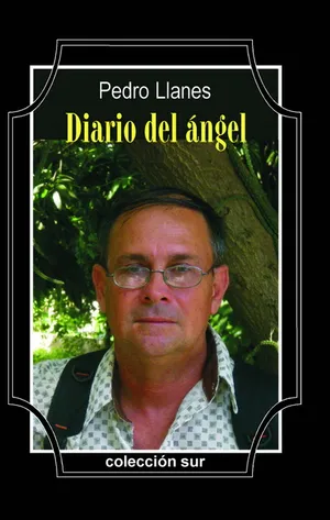 Portada de Diario del ángel