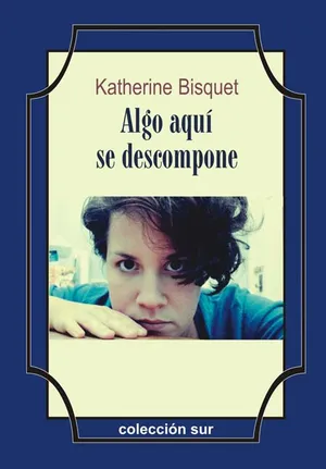 Portada de Algo aquí se descompone
