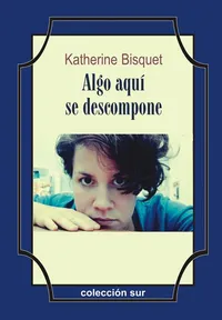 Portada de Algo aquí se descompone